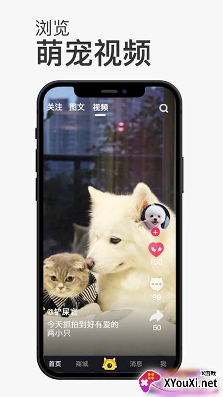 小宠书app截图