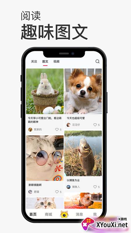 小宠书app截图