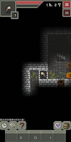 Remixed Dungeon(混合的像素地牢)截图