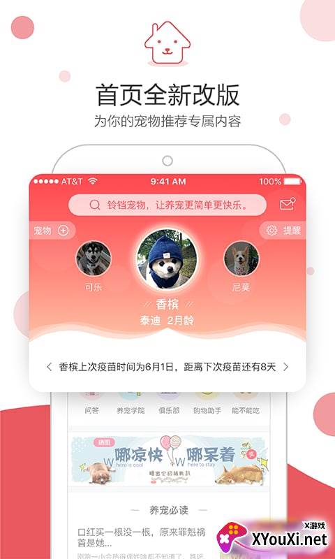 铃铛宠物截图