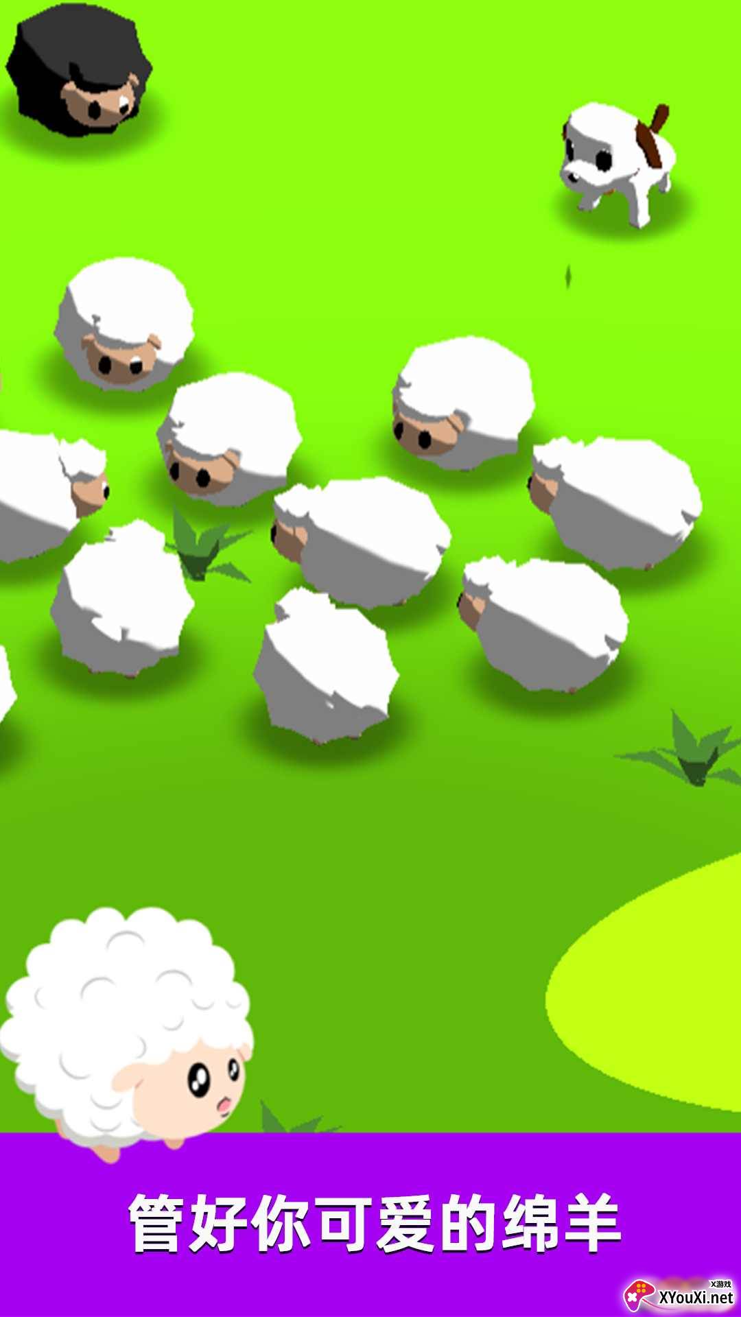 萌犬赶羊益智3D截图