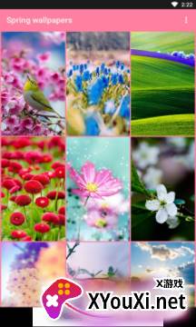 Spring wallpapers春季壁纸app截图