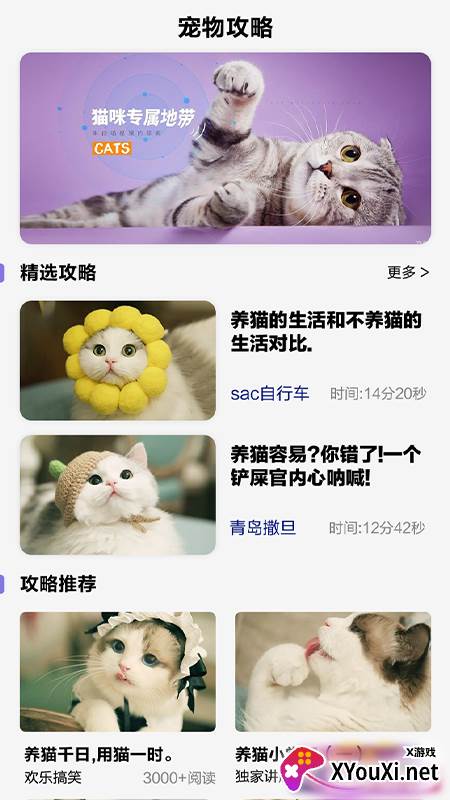 可爱喵喵壁纸大全app截图