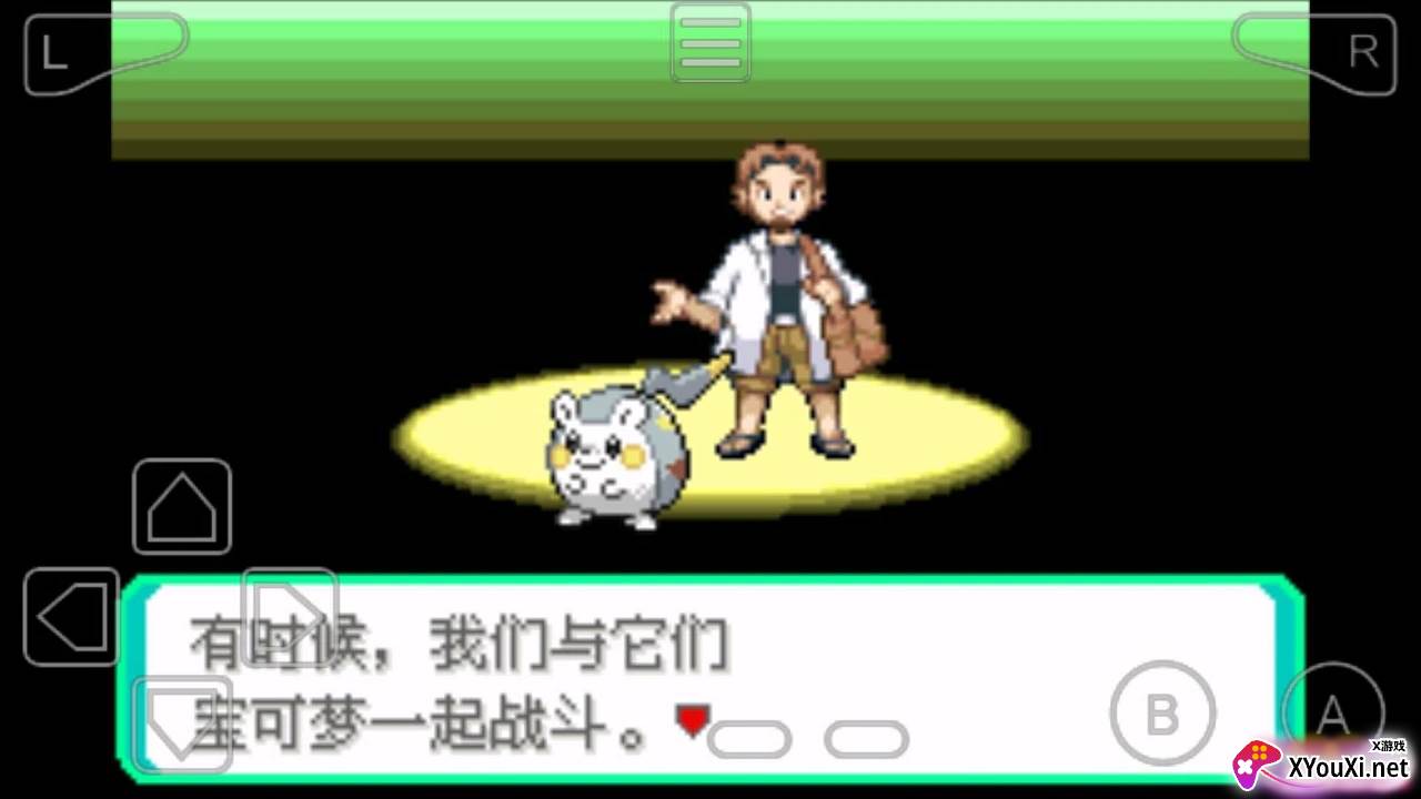 口袋妖怪究极绿宝石5中文版下载截图