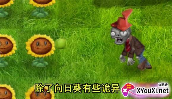 植物大战僵尸现实版游戏下载截图