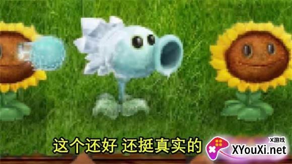 植物大战僵尸现实版游戏下载截图